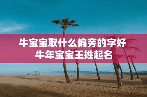 牛宝宝取什么偏旁的字好 牛年宝宝王姓起名