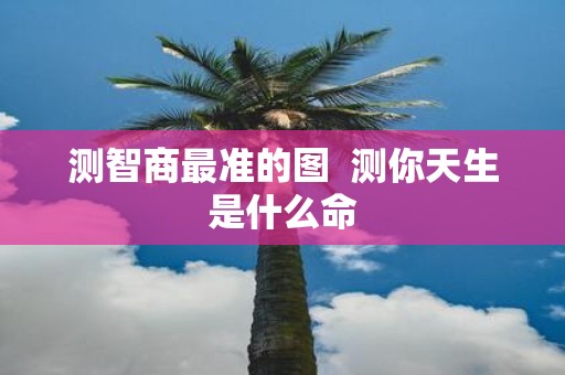 测智商最准的图 测你天生是什么命