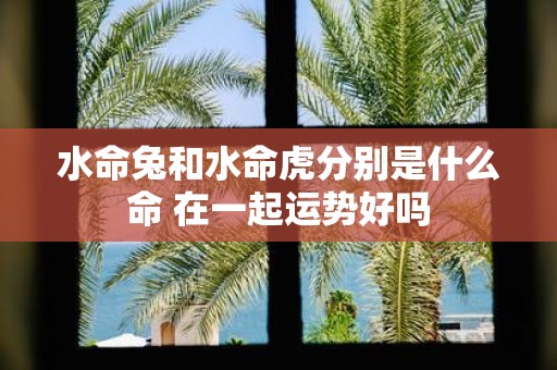 水命兔和水命虎分别是什么命 在一起运势好吗