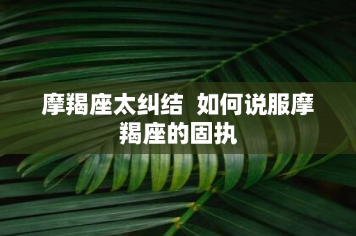 摩羯座太纠结 如何说服摩羯座的固执