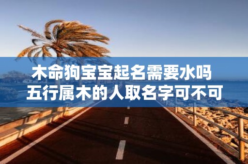 木命狗宝宝起名需要水吗 五行属木的人取名字可不可以带水