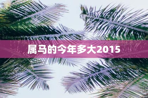 属马的今年多大2015