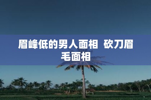 眉峰低的男人面相 砍刀眉毛面相