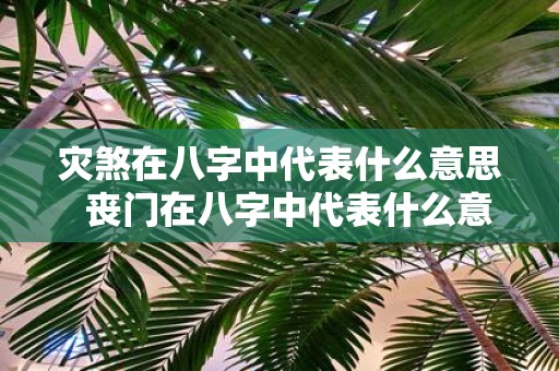 灾煞在八字中代表什么意思 丧门在八字中代表什么意思