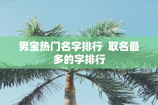 男宝热门名字排行 取名最多的字排行