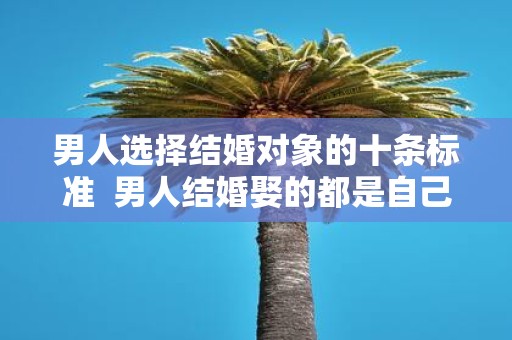 男人选择结婚对象的十条标准 男人结婚娶的都是自己爱的