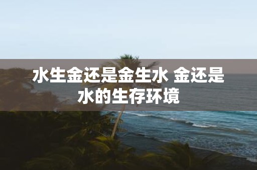 水生金还是金生水 金还是水的生存环境