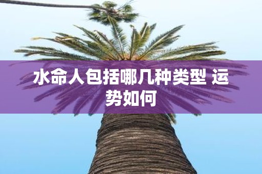 水命人包括哪几种类型 运势如何