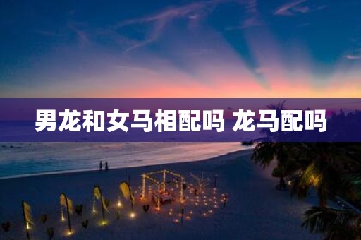 男龙和女马相配吗 龙马配吗