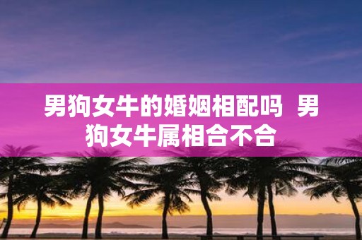 男狗女牛的婚姻相配吗 男狗女牛属相合不合