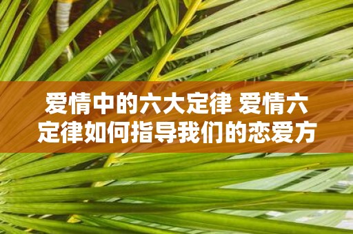 爱情中的六大定律 爱情六定律如何指导我们的恋爱方式