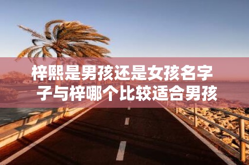 梓熙是男孩还是女孩名字 子与梓哪个比较适合男孩取名