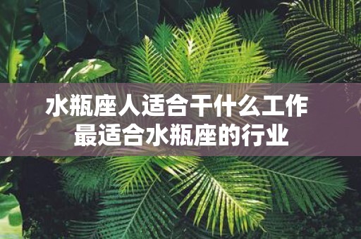 水瓶座人适合干什么工作 最适合水瓶座的行业