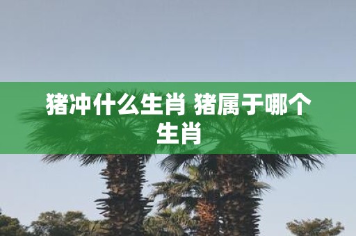 猪冲什么生肖 猪属于哪个生肖