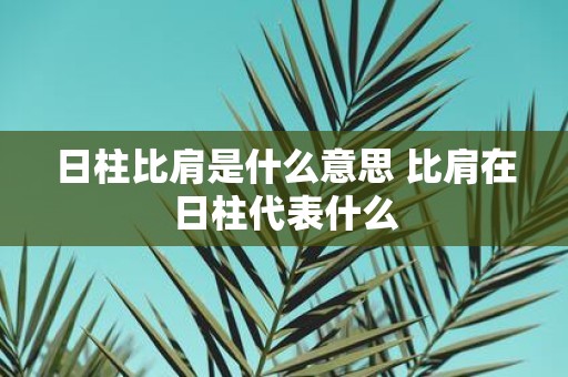 日柱比肩是什么意思 比肩在日柱代表什么