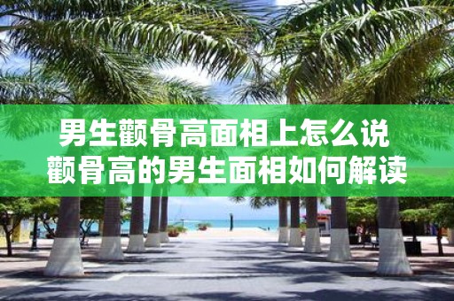 男生颧骨高面相上怎么说 颧骨高的男生面相如何解读