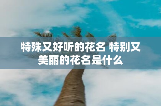 特殊又好听的花名 特别又美丽的花名是什么