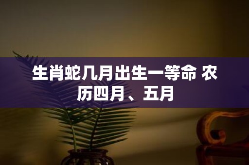生肖蛇几月出生一等命 农历四月、五月