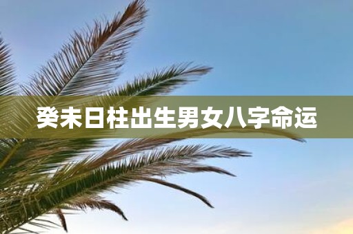 癸未日柱出生男女八字命运