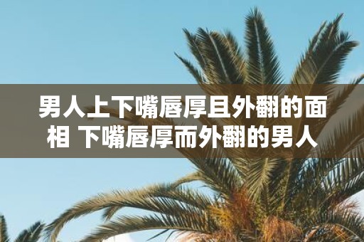 男人上下嘴唇厚且外翻的面相 下嘴唇厚而外翻的男人面相学