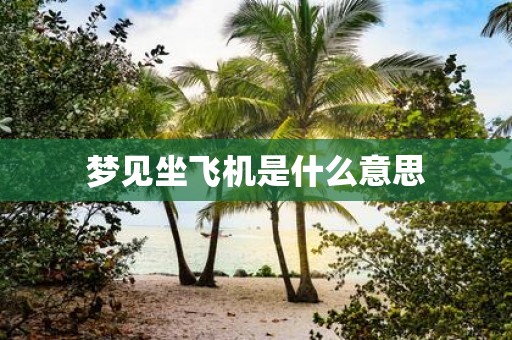 梦见坐飞机是什么意思