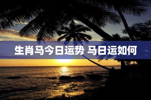 生肖马今日运势 马日运如何