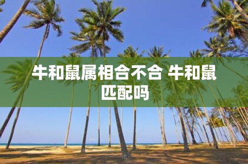 牛和鼠属相合不合 牛和鼠匹配吗