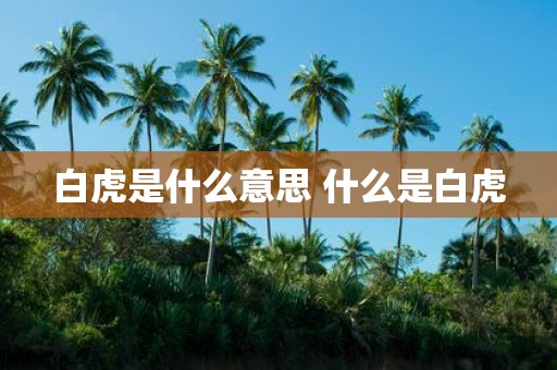 白虎是什么意思 什么是白虎