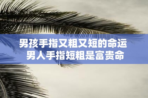 男孩手指又粗又短的命运 男人手指短粗是富贵命