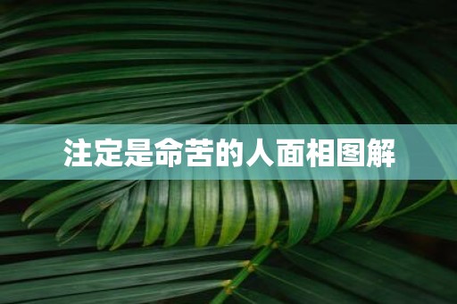 注定是命苦的人面相图解