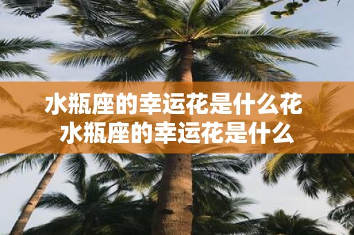 水瓶座的幸运花是什么花 水瓶座的幸运花是什么