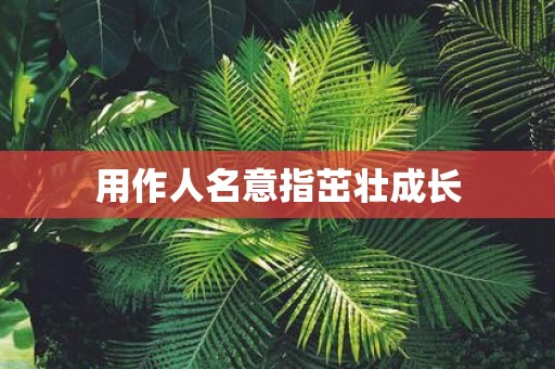 用作人名意指茁壮成长
