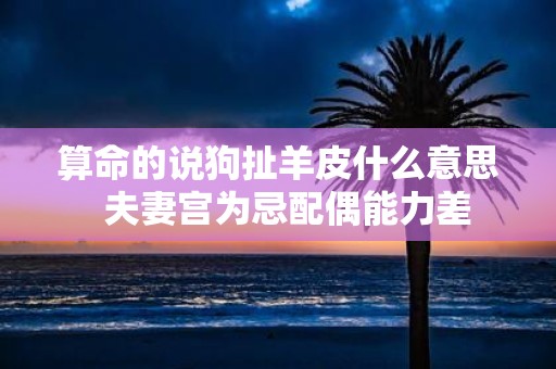 算命的说狗扯羊皮什么意思 夫妻宫为忌配偶能力差