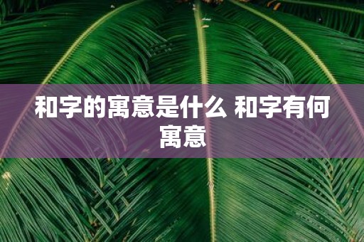 和字的寓意是什么 和字有何寓意