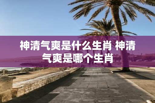 神清气爽是什么生肖 神清气爽是哪个生肖