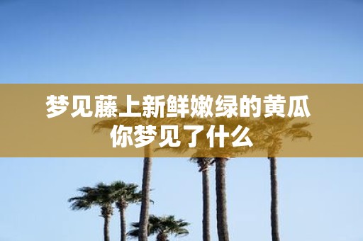 梦见藤上新鲜嫩绿的黄瓜 你梦见了什么