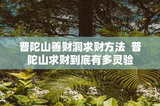 普陀山善财洞求财方法 普陀山求财到底有多灵验