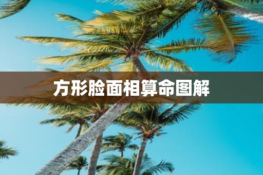 方形脸面相算命图解