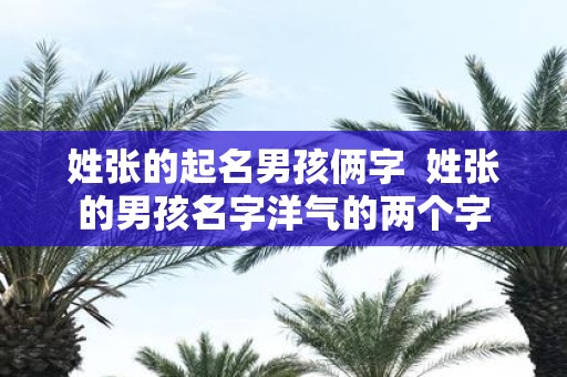 姓张的起名男孩俩字 姓张的男孩名字洋气的两个字
