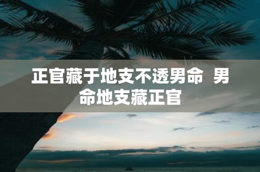 正官藏于地支不透男命 男命地支藏正官
