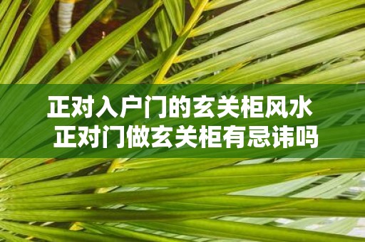 正对入户门的玄关柜风水 正对门做玄关柜有忌讳吗