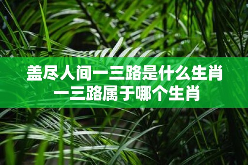 盖尽人间一三路是什么生肖 一三路属于哪个生肖