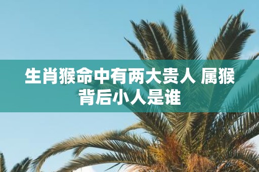 生肖猴命中有两大贵人 属猴背后小人是谁