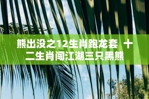 熊出没之12生肖跑龙套 十二生肖闯江湖三只黑熊