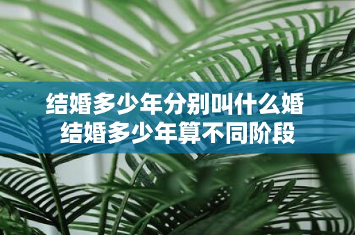 结婚多少年分别叫什么婚 结婚多少年算不同阶段