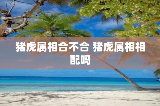 猪虎属相合不合 猪虎属相相配吗