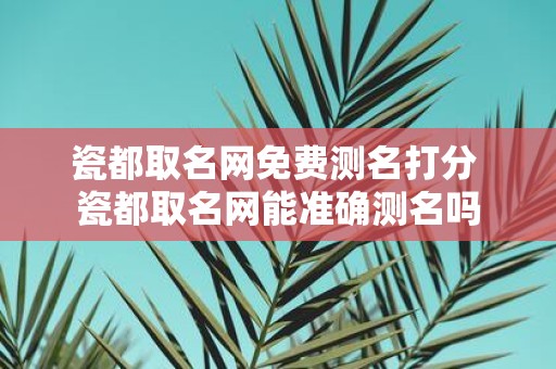 瓷都取名网免费测名打分 瓷都取名网能准确测名吗