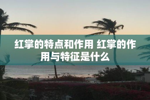 红掌的特点和作用 红掌的作用与特征是什么