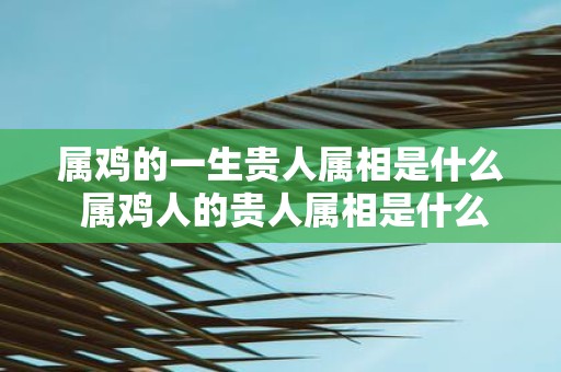 属鸡的一生贵人属相是什么 属鸡人的贵人属相是什么