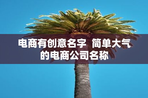 电商有创意名字 简单大气的电商公司名称